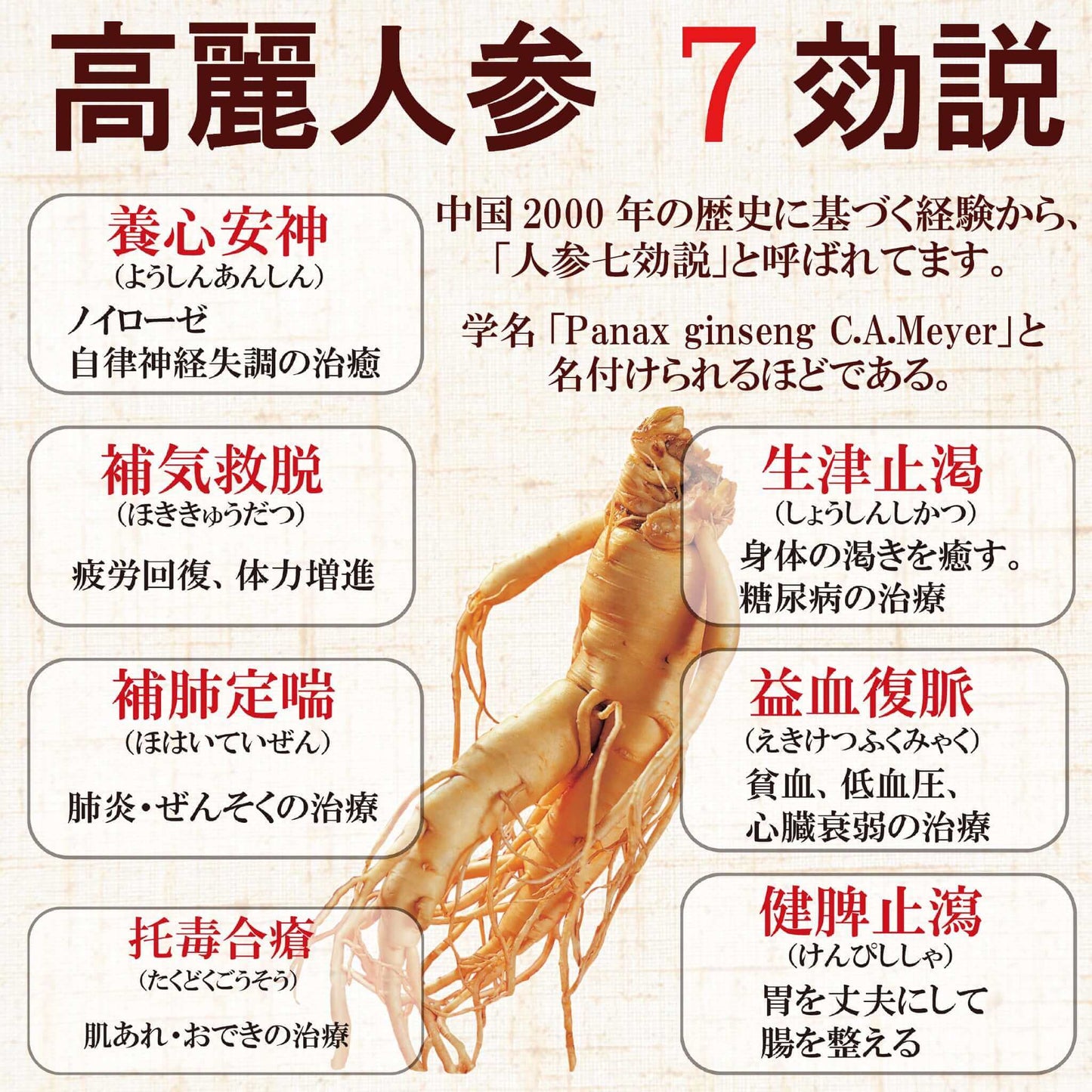 【紅参力】高麗紅参茶GOLD